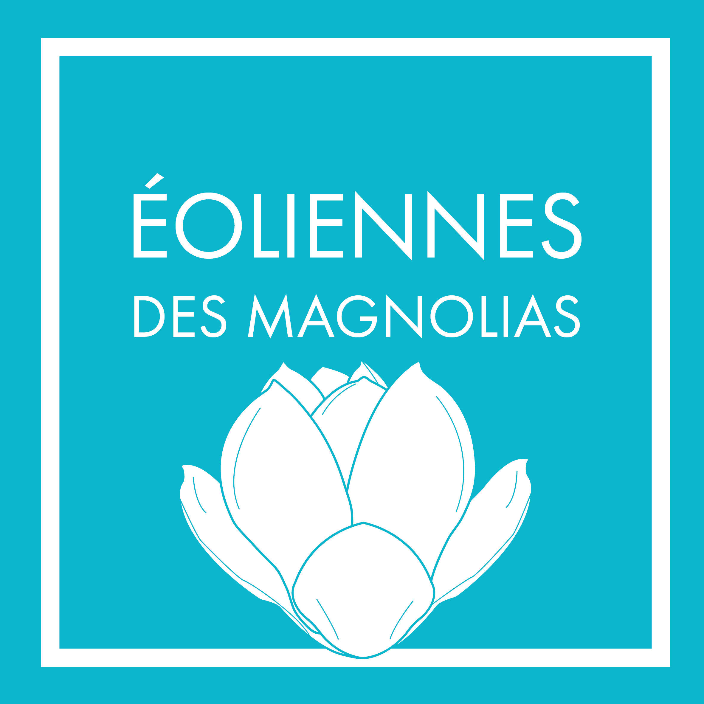 H2air, Producteur indépendant d'énergie renouvelable par l'éolien et le solaire - Eoliennes des Magnolias